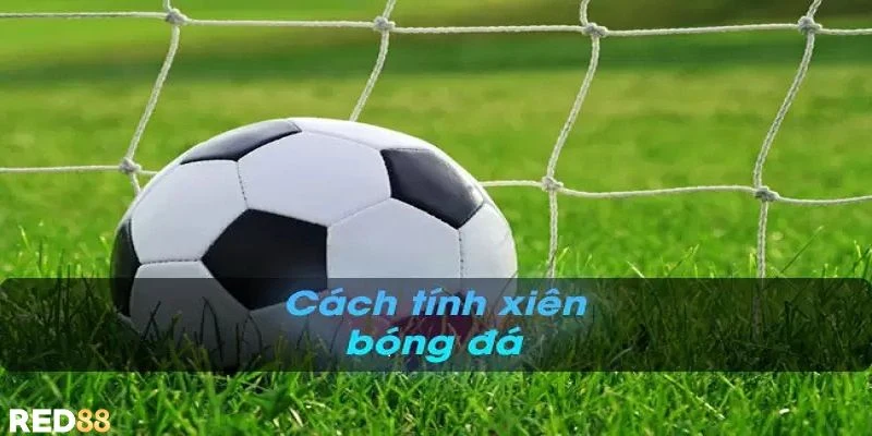 Luật cược xiên trong saba sport với hướng dẫn chi tiết